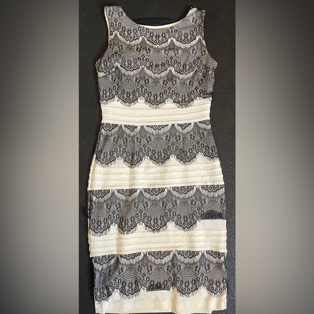 Black Lace and Cream White Fitted Cocktail Dress - Picture 5 of 8